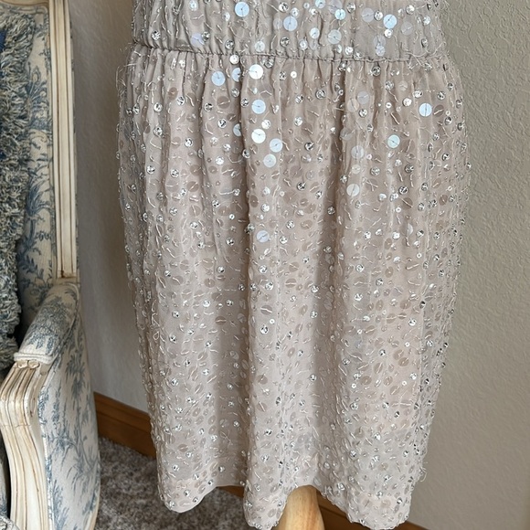 Ann Taylor Silk Beaded Skirt Size S Pockets Side Zip Stretch Waist - Picture 1 of 10